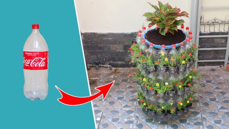 Cette méthode va transformer vos bouteilles en fleurs verticales magnifiques…