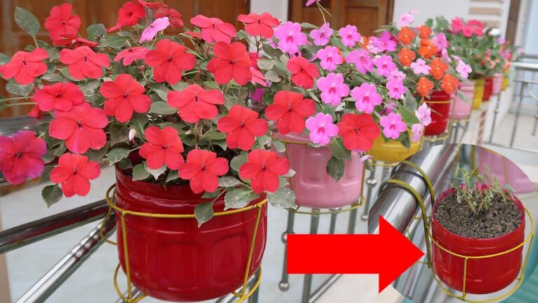 Une idée simple pour transformer votre balcon en oasis de fleurs…