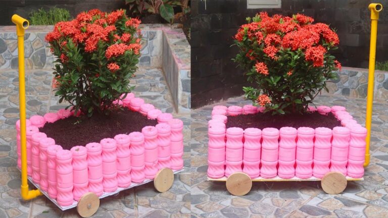 Cette astuce ingénieuse transforme vos bouteilles en plastique en un magnifique pot de jardin…
