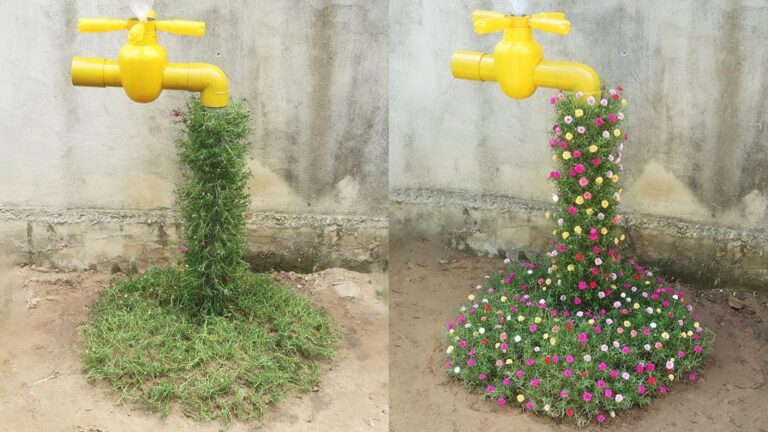 Cette astuce surprenante transforme votre balcon en un jardin de fleurs éclatantes…