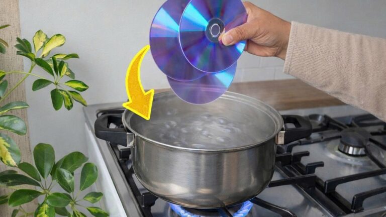 Transformez 10 vieux CD en objets uniques et gagnez de l&rsquo;argent à la maison !