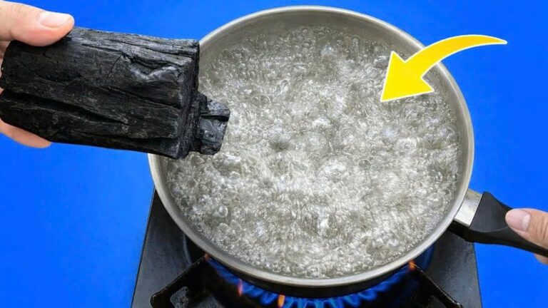 Transformez 5 kilos de charbon en dollars : le DIY qui surprend tout le monde !