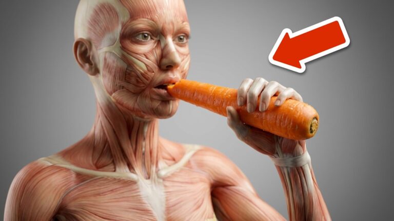 Découvrez les 7 bienfaits incroyables de manger des carottes chaque jour !