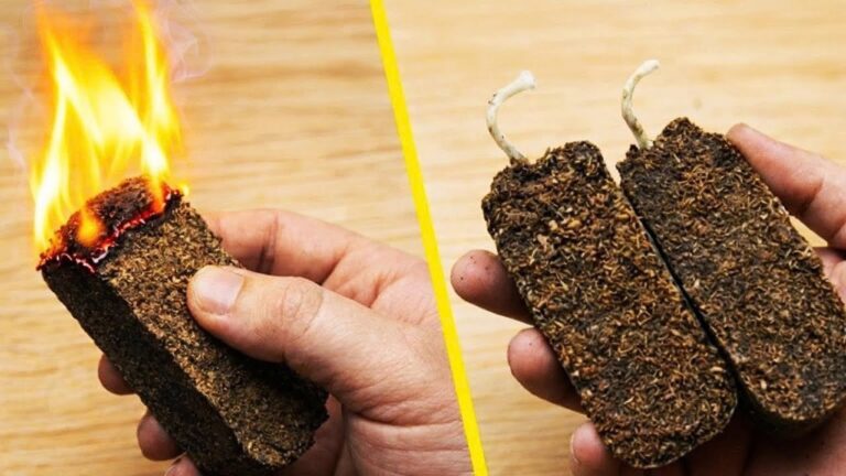 Découvrez 5 astuces pour produire votre propre énergie sans gaz ni bois !