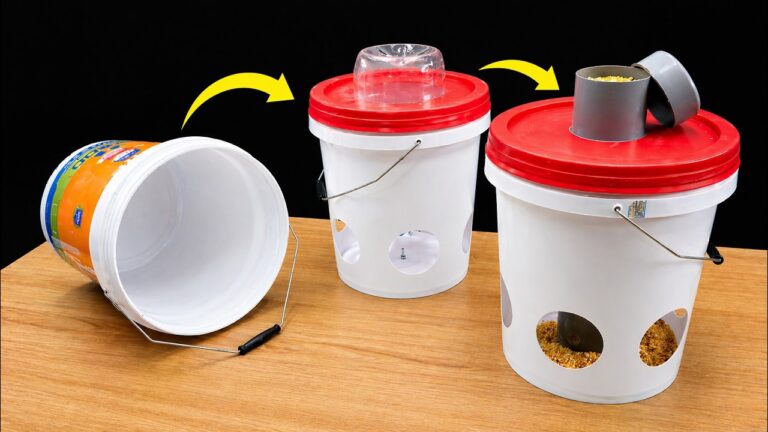 Transformez 5 bouteilles en plastique vides en objets déco astucieux !