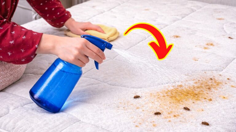 6 astuces pour nettoyer rapidement un matelas taché et éliminer odeurs et salissures