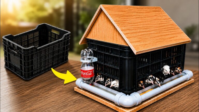 Transformez 5 boîtes anciennes en un poulailler incroyable et durable !