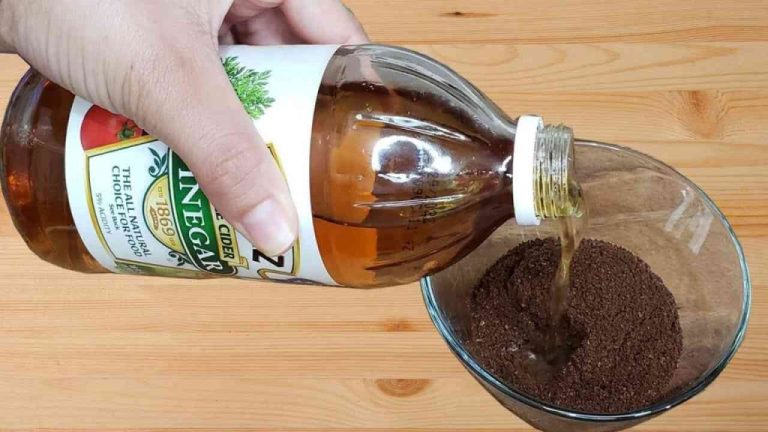 Mélange de café et de vinaigre : l&rsquo;astuce des femmes au foyer italiennes