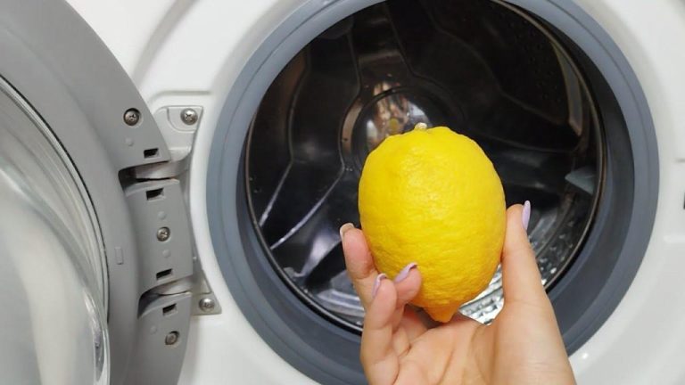 Découvrez le secret des blanchisseries : le vêtement incontournable à essayer