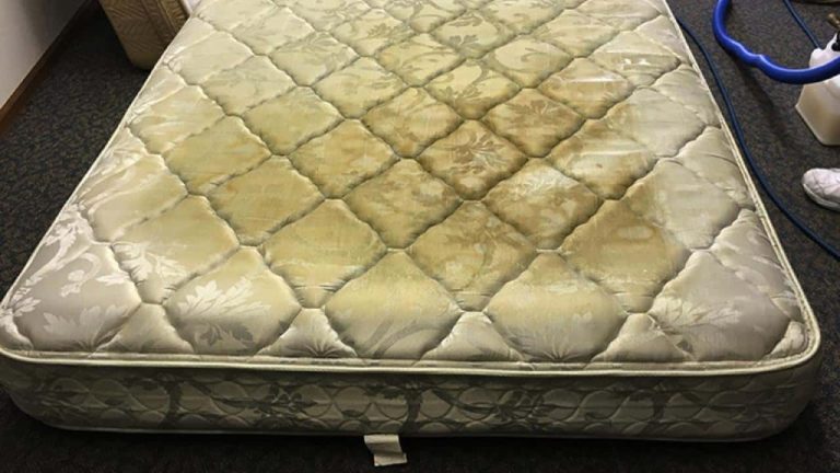 Découvrez ce que renferme votre matelas : le nettoyage, un must absolu