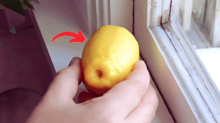 Placez 4 citrons sur votre fenêtre et découvrez ce secret surprenant