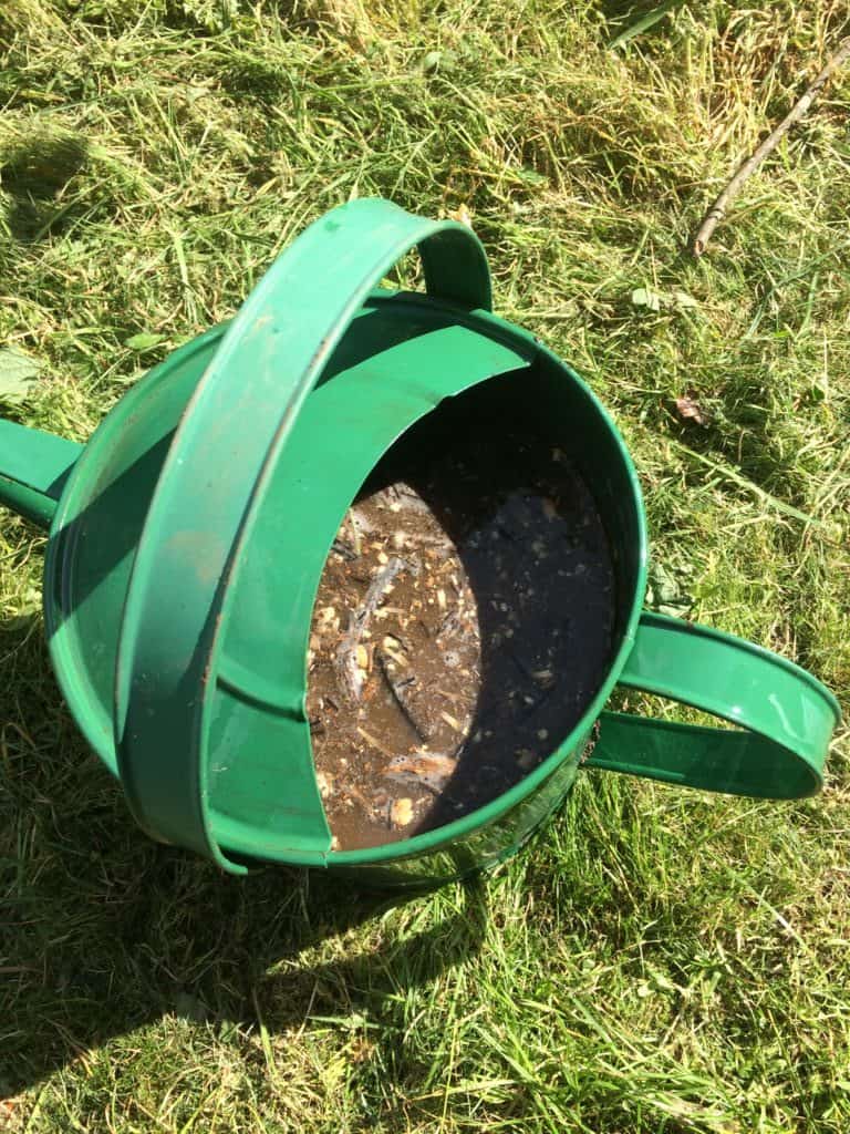 Comment préparer du thé de compost – Une solution nutritive pour vos plantes