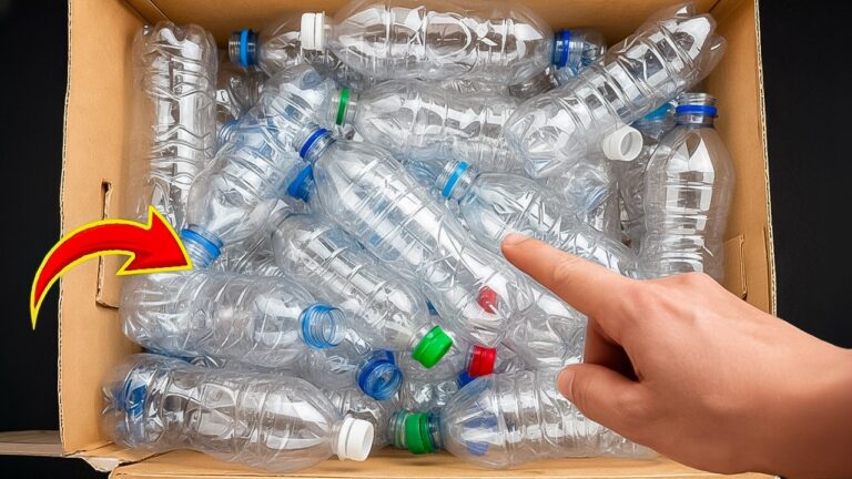 Transformez 5 bouteilles en plastique en trésors créatifs et durables !