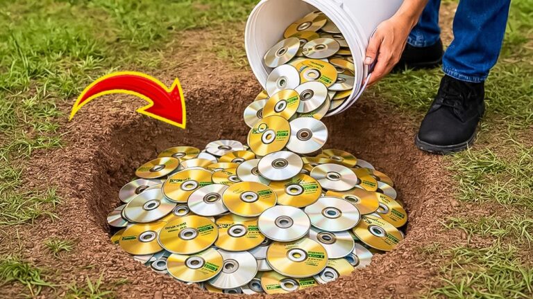 Transformez vos vieux CD en 5 idées pour gagner de l&rsquo;argent facilement !