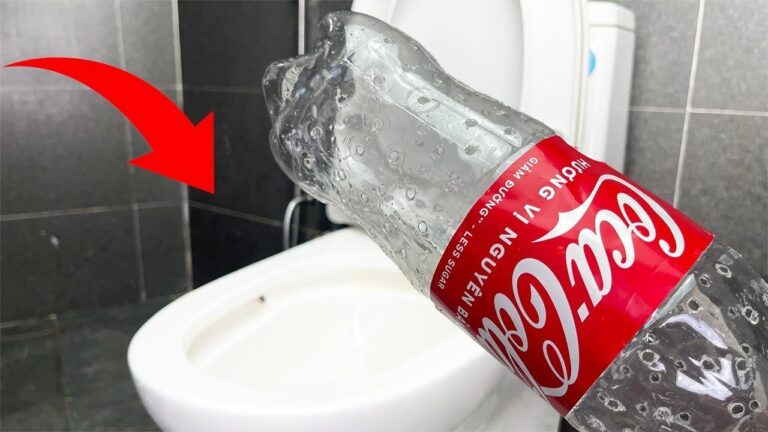 5 astuces simples pour résoudre les problèmes de toilettes rapidement !