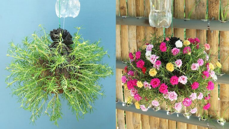 10 idées d&rsquo;arrosage automatique écolo avec des bouteilles en plastique pour votre jardin !