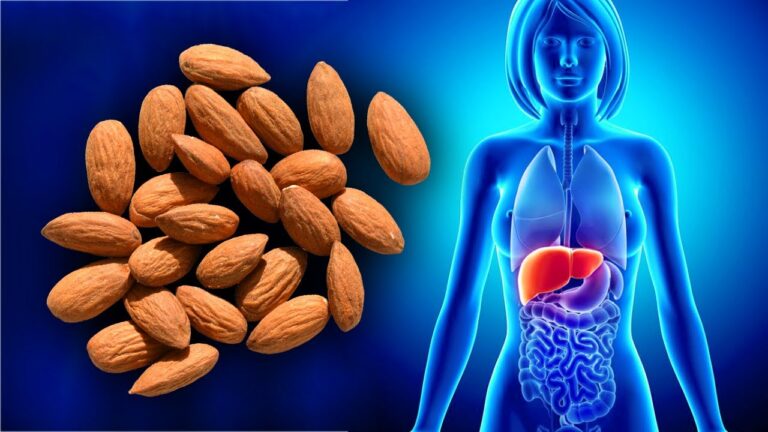 Découvrez les 7 bienfaits incroyables de manger 35g d&rsquo;amandes chaque jour !