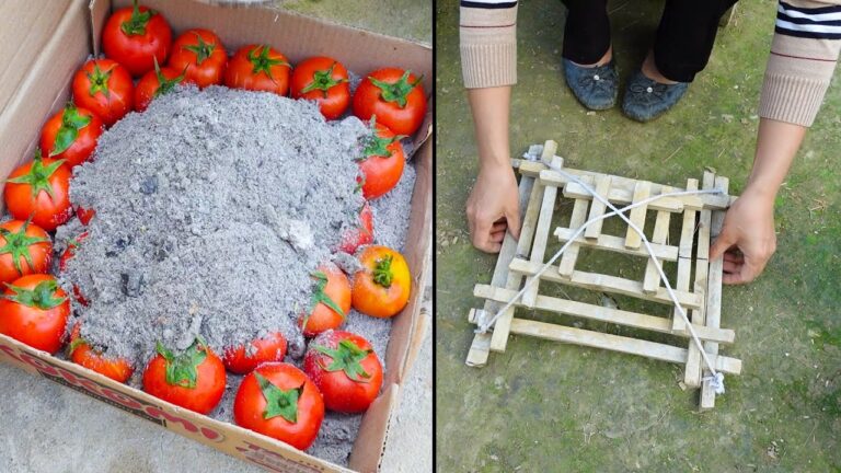501 astuces pour jardiner sans se ruiner et profiter de votre jardin !