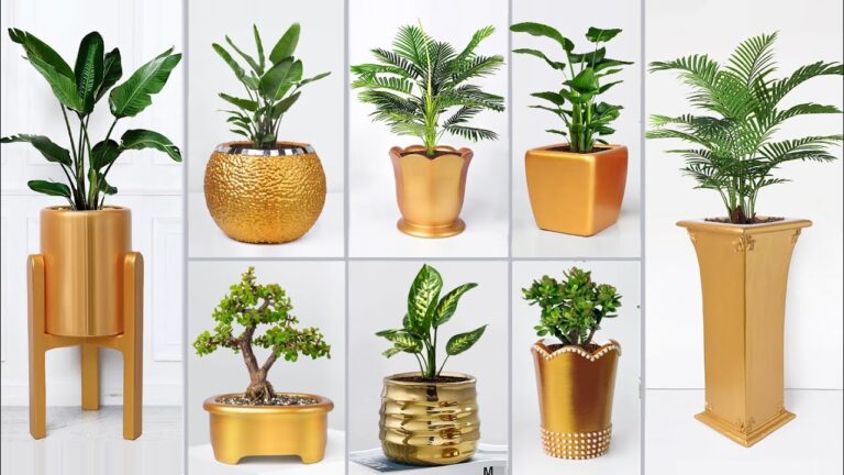 5 étapes faciles pour créer un vase en ciment unique et stylé