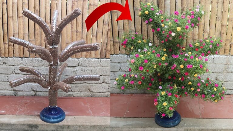 5 idées créatives pour un jardin en bouteilles plastiques inspiré de la Portulaca