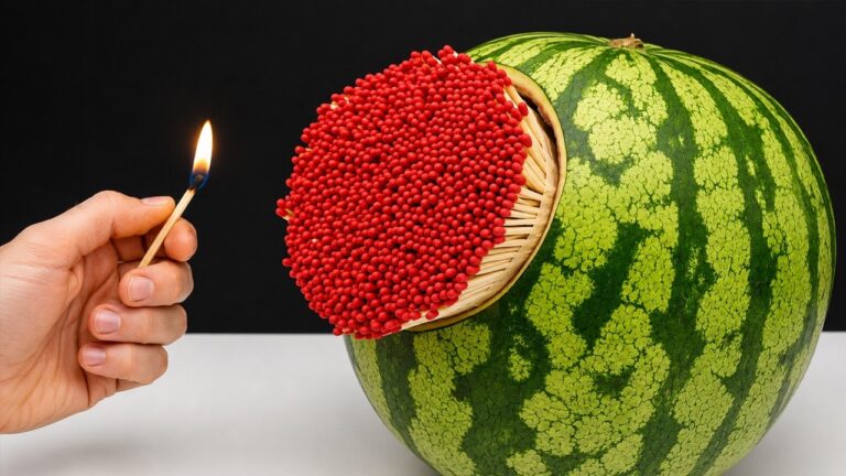 Découvrez comment remplir une pastèque de 3 façons pour gagner de l&rsquo;argent ! 🍉💰