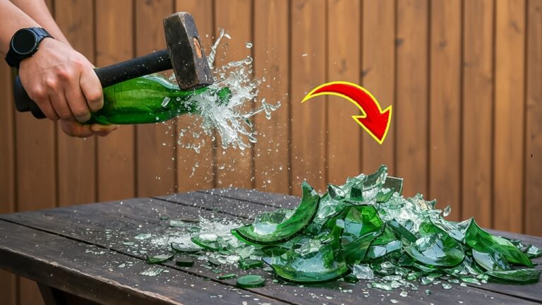 Transformez 5 bouteilles en verre en décorations uniques et époustouflantes !